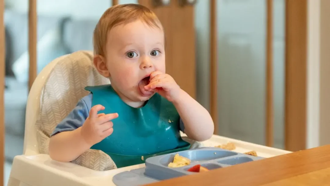 Cadeirinha de Alimentação